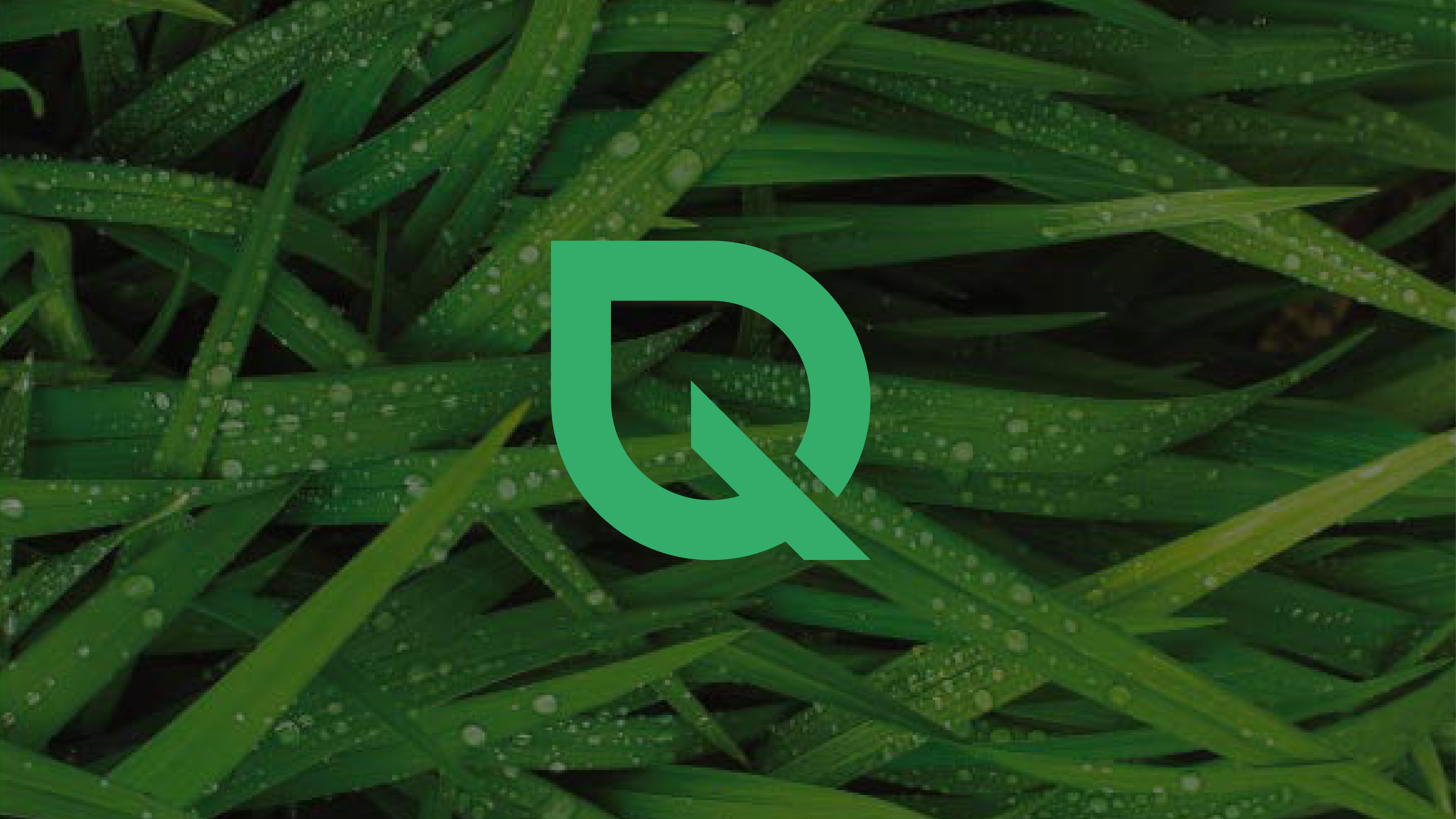 Quantum Motors